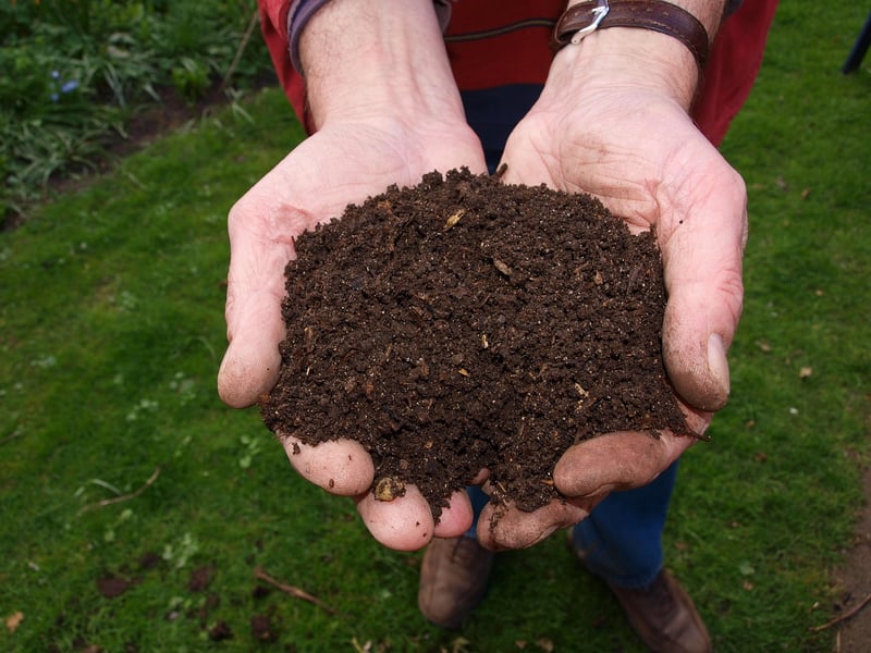 Compost Bin